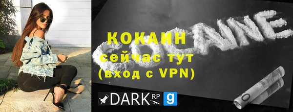 винт Елизово
