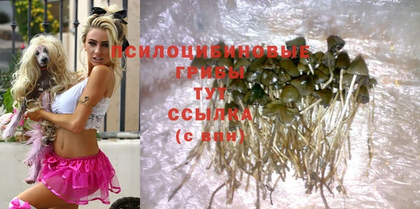 бутират Гусев