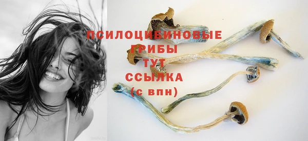 скорость Гусь-Хрустальный
