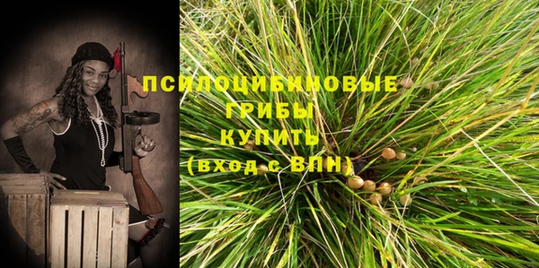 бутират Гусев