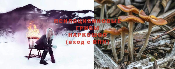 синтетический гашиш Дмитров