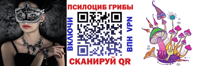 Купить закладки Кандалакша Псилоцибиновые грибы Psilocybine cubensis